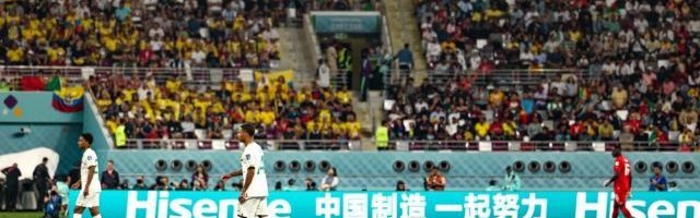 足球数据库-林良锋：执笔25年，这届世界杯中国味最浓