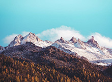 足球比赛-利雅得胜利晒队内庆祝马内非洲杯夺冠，C罗为他切蛋糕