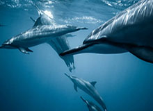 九游体育网站：畅享体育盛宴，掌握赛事最新动态